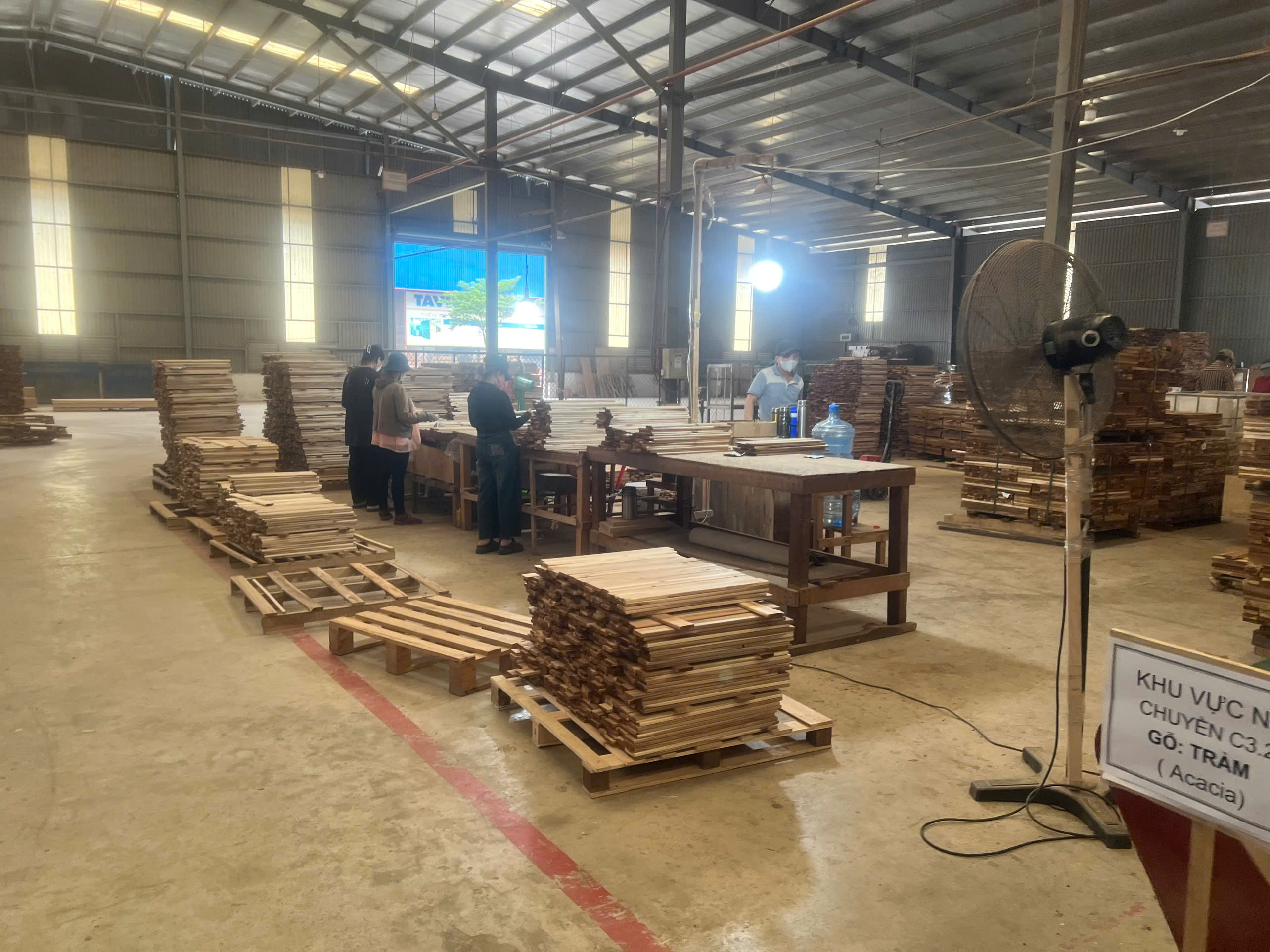Production Area 1.jpg